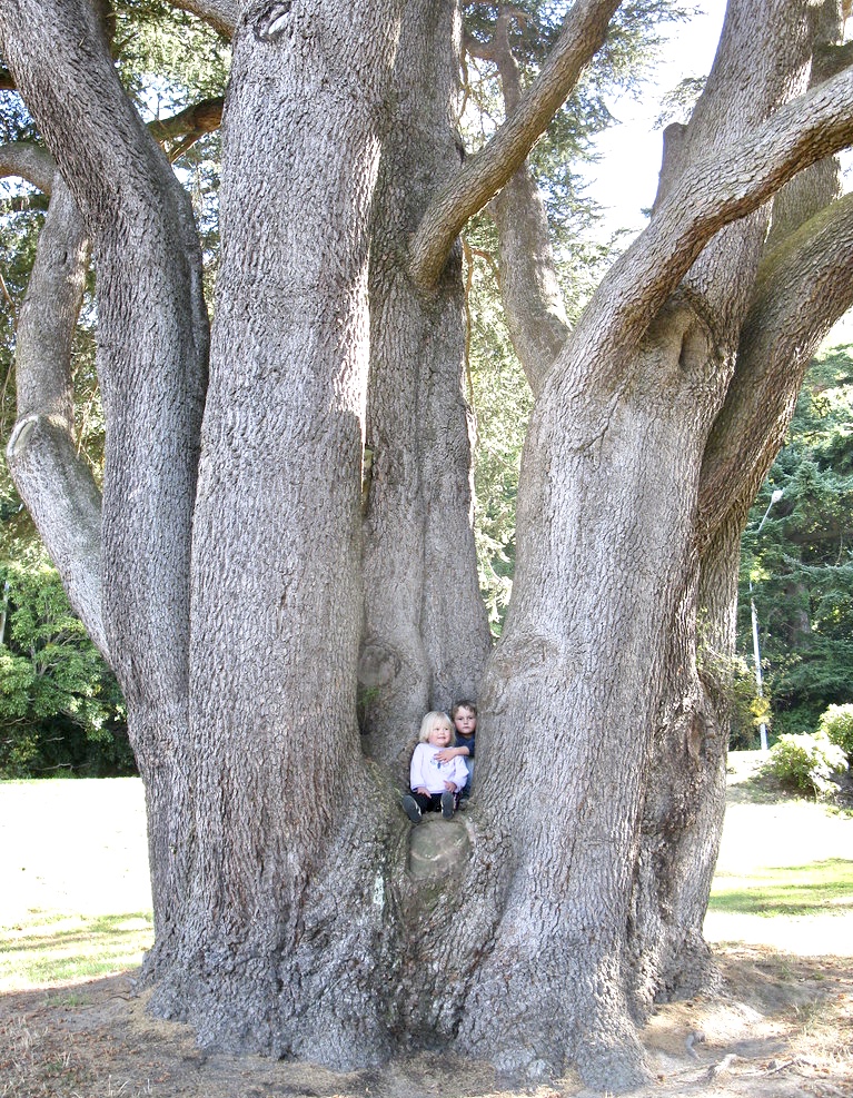 Aburi Botanical Garden-grassroottours.com